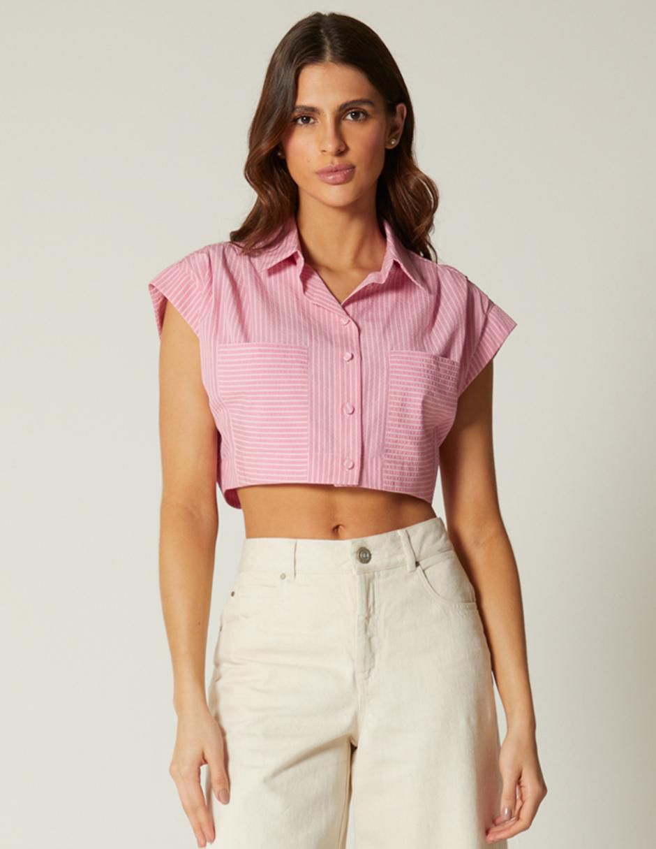 Rosa 2